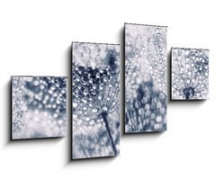 Obraz   Plant seeds with water drops, 100 x 60 cm