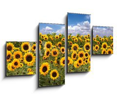 Obraz 4D tydln - 100 x 60 cm F_IS10725175 - Sunflower Farmland With Blue Cloudy Sky