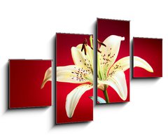 Obraz 4D tydln - 100 x 60 cm F_IS10726288 - lily flower - kvt lilie