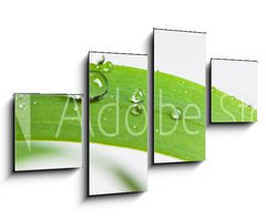 Obraz 4D tydln - 100 x 60 cm F_IS107308034 - bubble drop on clover isolated on white