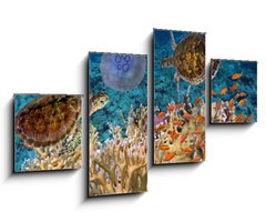 Obraz 4D tydln - 100 x 60 cm F_IS107412265 - Colorful coral reef with many fishes and sea turtle - Barevn korlov tes s mnoha rybami a mosk elva