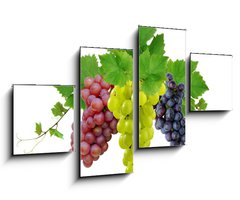 Obraz 4D tydln - 100 x 60 cm F_IS10964464 - Three fresh grapes - Ti erstv hrozny