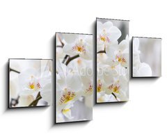 Obraz   Vibrant holiday background with beautiful close up white orchid flower branch , 100 x 60 cm