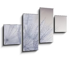 Obraz 4D tydln - 100 x 60 cm F_IS110156010 - Plant seeds with water drops