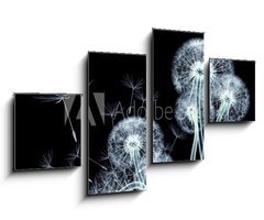 Obraz 4D tydln - 100 x 60 cm F_IS110422506 - x-ray image of a flower isolated on black , the Taraxacum dandel