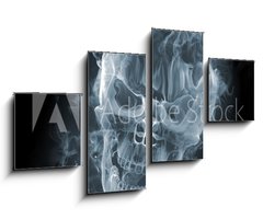 Obraz 4D tydln - 100 x 60 cm F_IS11412559 - Skull - smoke - krtk veslo