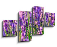 Obraz 4D tydln - 100 x 60 cm F_IS117193002 - Blooming lavender in a field at Provence - Kvetouc levandule na poli v Provence