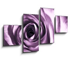 Obraz 4D tydln - 100 x 60 cm F_IS11865044 - Purple rose