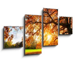 Obraz 4D tydln - 100 x 60 cm F_IS119517756 - Schne Eiche auf Wiese bei untergehender Sonne im Herbst