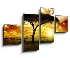 Obraz 4D tydln - 100 x 60 cm F_IS12197040 - Africa Sunset