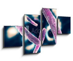 Obraz 4D tydln - 100 x 60 cm F_IS122886078 - Shigella Bacteria