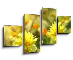 Obraz 4D tydln - 100 x 60 cm F_IS12348665 - Closeup of yellow daisies with warm rays