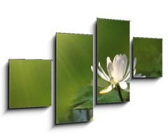 Obraz 4D tydln - 100 x 60 cm F_IS12460869 - Lily flower on a green background