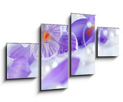 Obraz 4D tydln - 100 x 60 cm F_IS12714876 - krokus eiszeit