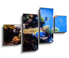 Obraz 4D tydln - 100 x 60 cm F_IS131183702 - Tropical fishes on the coral reef