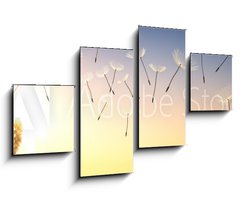 Obraz 4D tydln - 100 x 60 cm F_IS137387337 - Pusteblume im Sonnenuntergang 1