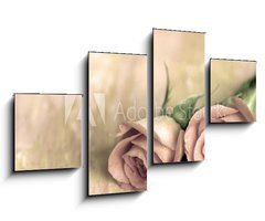 Obraz 4D tydln - 100 x 60 cm F_IS13808846 - zwei rosen