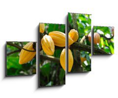 Obraz 4D tydln - 100 x 60 cm F_IS13996500 - Cocoa pods