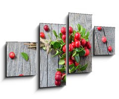 Obraz 4D tydln - 100 x 60 cm F_IS141541258 - Bunch of red cowberry