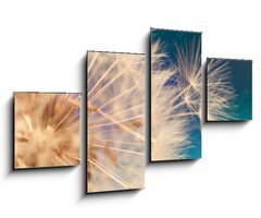 Obraz 4D tydln - 100 x 60 cm F_IS143134951 - white dandelion flower with seeds in springtime in blue turquoise abstract backgrouds