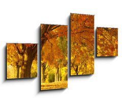 Obraz 4D tydln - 100 x 60 cm F_IS1452913 - autumn scene