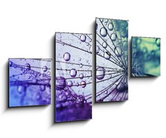Obraz 4D tydln - 100 x 60 cm F_IS146436696 -  dandelion flower background
