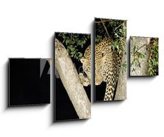 Obraz 4D tydln - 100 x 60 cm F_IS147411 - leopard
