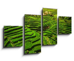Obraz 4D tydln - 100 x 60 cm F_IS149173754 - Batad Rice Terraces in Northern Luzon, Philippines.