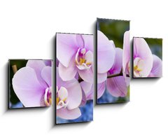 Obraz 4D tydln - 100 x 60 cm F_IS14941045 - Pink Orchid Flowers