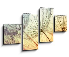 Obraz 4D tydln - 100 x 60 cm F_IS155375500 -  dandelion flower background - Pampelika kvtinov pozad