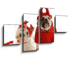 Obraz 4D tydln - 100 x 60 cm F_IS15642685 - two devils - bulldog and west highland white terrier - dva bli