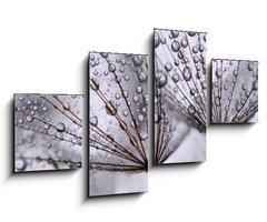 Obraz 4D tydln - 100 x 60 cm F_IS15712767 - dandelion seeds