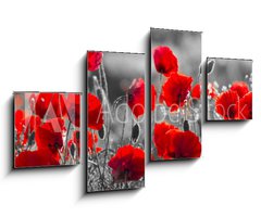 Obraz 4D tydln - 100 x 60 cm F_IS158374540 - red poppies, black and white