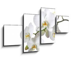 Obraz 4D tydln - 100 x 60 cm F_IS15872773 - Orchidee - Orchidea