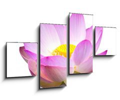 Obraz 4D tydln - 100 x 60 cm F_IS15918098 - Lotus