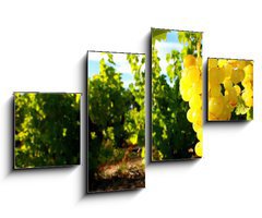 Obraz 4D tydln - 100 x 60 cm F_IS15932311 - La Vigne