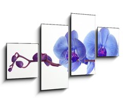 Obraz 4D čtyřdílný - 100 x 60 cm F_IS15948951 - Blue orchid
