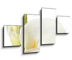 Obraz 4D tydln - 100 x 60 cm F_IS16158957 - White Calla Lilies