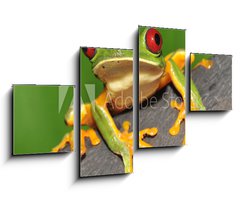 Obraz 4D tydln - 100 x 60 cm F_IS16286754 - red eyed green tree frog curiously looking at camera - erven oi zelen strom ba zvdav dval se na kameru