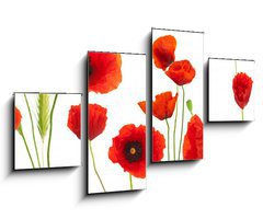 Obraz 4D tydln - 100 x 60 cm F_IS16302872 - red poppies over white background - floral design element