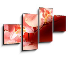 Obraz   Orchid red background, 100 x 60 cm