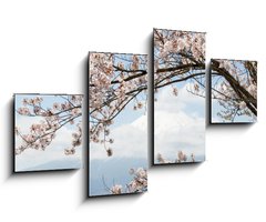 Obraz 4D tydln - 100 x 60 cm F_IS167625752 - Fuji mountain  in japan as background with sakura blossom as foreground
