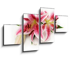Obraz 4D tydln - 100 x 60 cm F_IS16841573 - Lily