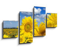 Obraz 4D tydln - 100 x 60 cm F_IS16872718 - Some yellow sunflowers against a wide field and the blue sky