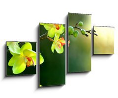 Obraz 4D tydln - 100 x 60 cm F_IS17174555 - Orchidee