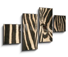 Obraz 4D tydln - 100 x 60 cm F_IS17807790 - Zebra