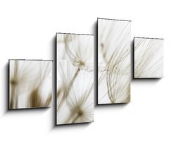 Obraz 4D tydln - 100 x 60 cm F_IS180759298 - Dandelion seed closeup