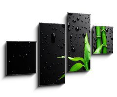 Obraz 4D tydln - 100 x 60 cm F_IS18901258 - Bamboo over Black - Bambus pes ern