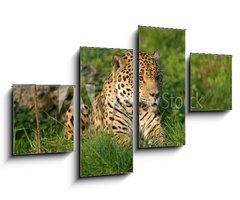 Obraz   Leopard, 100 x 60 cm