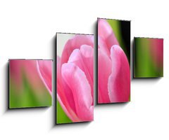 Obraz   tulip, 100 x 60 cm